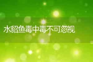 水貂鱼毒中毒不可忽视