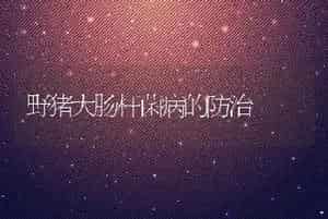 野猪大肠杆菌病的防治