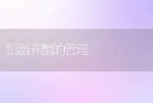 恒温养蟹的管理