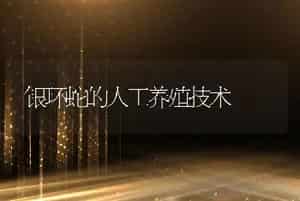 银环蛇的人工养殖技术