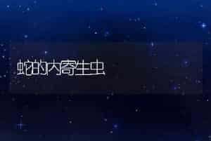 蛇的内寄生虫