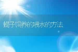蝎子饲养的喂水的方法