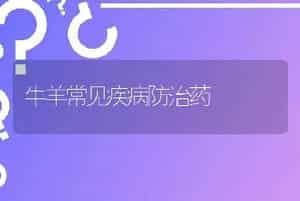 牛羊常见疾病防治药