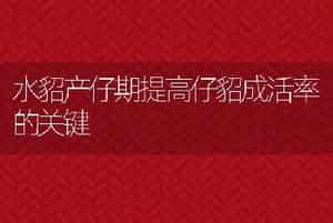 水貂产仔期提高仔貂成活率的关键