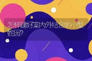 怎样建好室内外结合的小型蛇园？