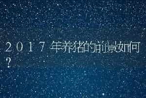 2017年养猪的前景如何？