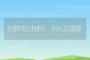 蛇鳄龟的脂肪、无机盐需要