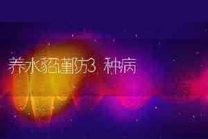 养水貂谨防3种病