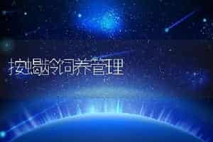 按蝎龄饲养管理