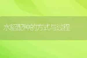 水貂配种的方式与过程