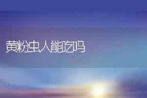 黄粉虫人能吃吗