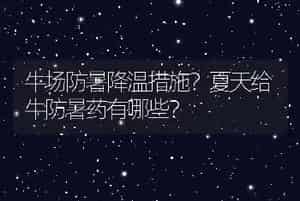 牛场防暑降温措施？夏天给牛防暑药有哪些？