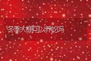 冬季大棚可以养蛇吗