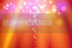 防治奶牛肥胖综合症