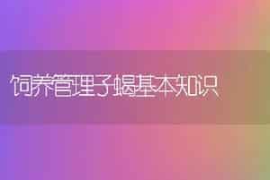 饲养管理子蝎基本知识