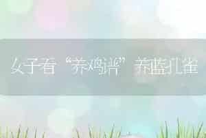 女子看“养鸡谱”养蓝孔雀