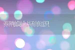 养殖蟾蜍基础知识