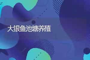 蛇类怎样起着平衡生态的作用