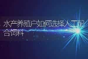 水产养殖户如何选择人工配合饲料