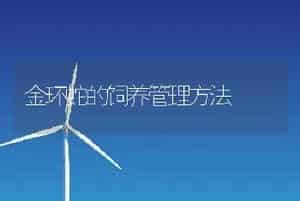 金环蛇的饲养管理方法