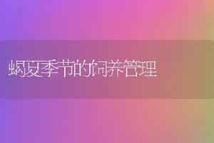 蝎夏季节的饲养管理