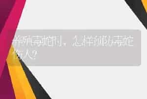 养殖毒蛇时，怎样预防毒蛇伤人？