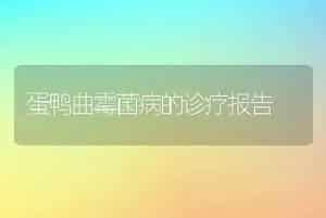 蛇酒的浸泡工艺