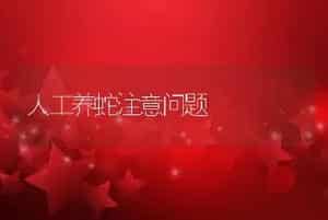 人工养蛇注意问题