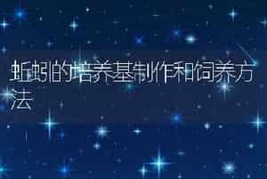 蚯蚓的培养基制作和饲养方法