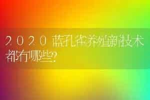 2020蓝孔雀养殖新技术都有哪些？