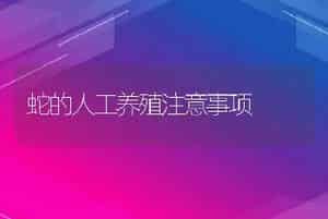 蛇的人工养殖注意事项
