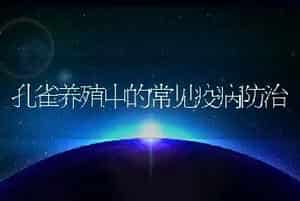 孔雀养殖中的常见疫病防治
