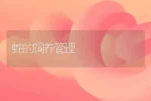 蛇的饲养管理