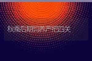 蛇类养殖业的前景如何