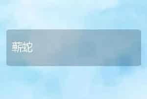 蕲蛇