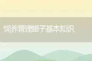 饲养管理蝎子基本知识