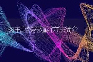 防治蛇外伤