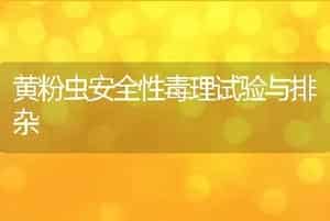 黄粉虫安全性毒理试验与排杂