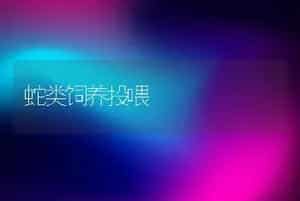 蛇类饲养投喂