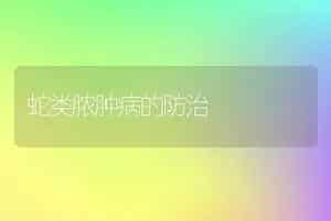 蛇类脓肿病的防治