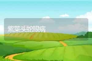 紫菜头蛇眼病