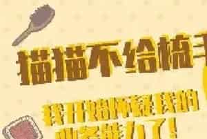 5种方法告诉你，怎么让猫咪爱上梳毛！