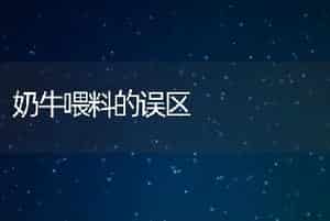 奶牛喂料的误区