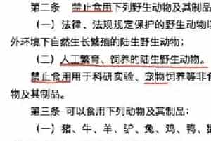深圳将成为大陆首个立法禁食宠物猫狗城市:5月1日正式实施!