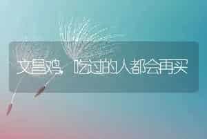 文昌鸡，吃过的人都会再买