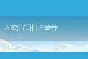 养猪巧用饲料添加剂