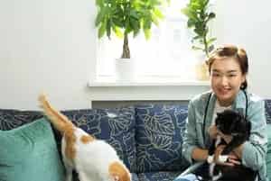 色咪咪？科研称猫咪更喜欢向少女卖萌！女性养一只猫有好处