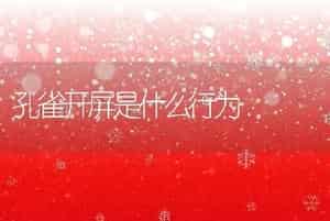 孔雀开屏是什么行为