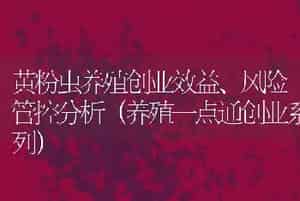 黄粉虫养殖创业效益、风险管控分析（养殖一点通创业系列）