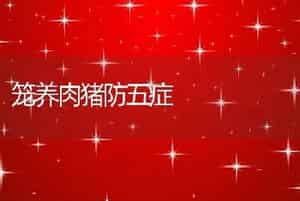 笼养肉猪防五症